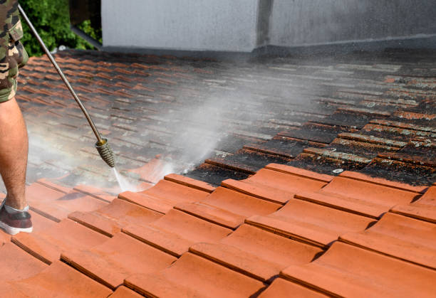 Best Local Pressure Washing Services  in Crockett, CA